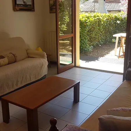 Zarina Daire Pallanza